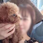 たえ 過去のお題から フィエスタ
