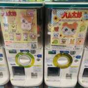 ヒメ日記 2025/10/17 13:46 投稿 まい お姉さんSelect