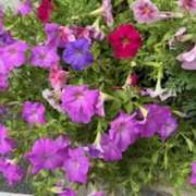 ヒメ日記 2025/07/18 01:12 投稿 中島恵子 五十路マダムエクスプレス横浜店（カサブランカグループ）