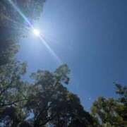 ヒメ日記 2025/07/26 01:26 投稿 中島恵子 五十路マダムエクスプレス横浜店（カサブランカグループ）