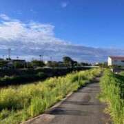 ヒメ日記 2025/07/28 01:14 投稿 中島恵子 五十路マダムエクスプレス横浜店（カサブランカグループ）