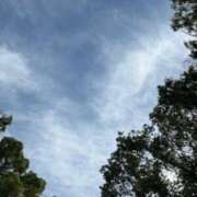 ヒメ日記 2025/07/30 00:34 投稿 中島恵子 五十路マダムエクスプレス横浜店（カサブランカグループ）