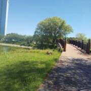 ヒメ日記 2025/08/04 01:38 投稿 中島恵子 五十路マダムエクスプレス横浜店（カサブランカグループ）