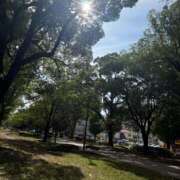 ヒメ日記 2025/08/12 01:18 投稿 中島恵子 五十路マダムエクスプレス横浜店（カサブランカグループ）