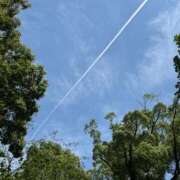 ヒメ日記 2025/11/04 16:14 投稿 中島恵子 五十路マダムエクスプレス横浜店（カサブランカグループ）