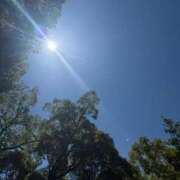 ヒメ日記 2025/11/10 22:54 投稿 中島恵子 五十路マダムエクスプレス横浜店（カサブランカグループ）