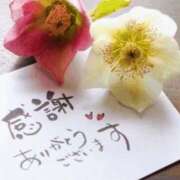 ヒメ日記 2025/11/13 17:02 投稿 中島恵子 五十路マダムエクスプレス横浜店（カサブランカグループ）