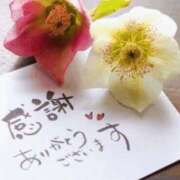 ヒメ日記 2025/11/15 16:26 投稿 中島恵子 五十路マダムエクスプレス横浜店（カサブランカグループ）