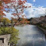 中島恵子 今日は、友人とランチに・・・♪ 五十路マダムエクスプレス横浜店（カサブランカグループ）