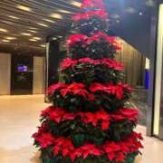 ヒメ日記 2025/12/24 10:40 投稿 中島恵子 五十路マダムエクスプレス横浜店（カサブランカグループ）