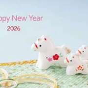 ヒメ日記 2026/01/01 11:26 投稿 中島恵子 五十路マダムエクスプレス横浜店（カサブランカグループ）