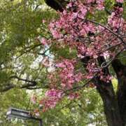 ヒメ日記 2026/03/01 22:54 投稿 中島恵子 五十路マダムエクスプレス横浜店（カサブランカグループ）