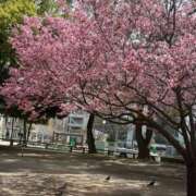 ヒメ日記 2026/03/21 16:14 投稿 中島恵子 五十路マダムエクスプレス横浜店（カサブランカグループ）