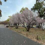 ヒメ日記 2026/03/27 22:28 投稿 中島恵子 五十路マダムエクスプレス横浜店（カサブランカグループ）