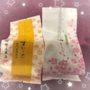 ヒメ日記 2026/04/05 04:00 投稿 ひなみ エピセレクション