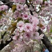 ヒメ日記 2026/04/13 19:09 投稿 かんな エピセレクション