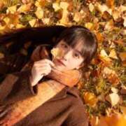 ヒメ日記 2026/02/17 09:22 投稿 りあ エピセレクション