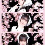 ヒメ日記 2026/04/09 08:45 投稿 りあ エピセレクション