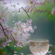 ヒメ日記 2025/07/24 07:00 投稿 のん 電車ごっこ