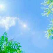 ヒメ日記 2025/08/09 09:23 投稿 のん 電車ごっこ