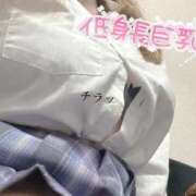 ヒメ日記 2025/09/08 09:20 投稿 のん 電車ごっこ