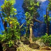 ヒメ日記 2025/11/19 20:50 投稿 のん 電車ごっこ