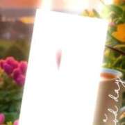 ヒメ日記 2026/03/10 08:40 投稿 のん 電車ごっこ