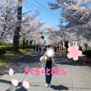 ヒメ日記 2026/04/01 14:20 投稿 のん 電車ごっこ