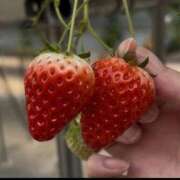 ヒメ日記 2026/04/12 12:20 投稿 のん 電車ごっこ