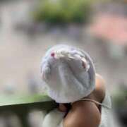 ヒメ日記 2025/10/20 20:20 投稿 音羽るき ウルトラハピネス