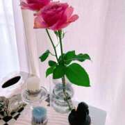 ヒメ日記 2025/09/16 08:34 投稿 花/Hana レジーナ