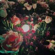 ヒメ日記 2025/11/11 20:14 投稿 花/Hana レジーナ