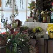 ヒメ日記 2026/03/30 20:04 投稿 花/Hana レジーナ