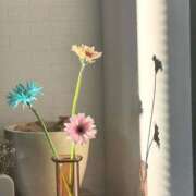 ヒメ日記 2026/05/31 23:14 投稿 花/Hana レジーナ