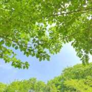 ヒメ日記 2026/06/14 22:33 投稿 花/Hana レジーナ
