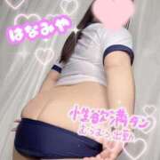 ヒメ日記 2026/04/25 09:03 投稿 花宮～HANAMIYA～ BBW大宮店