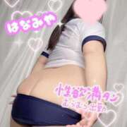 ヒメ日記 2026/08/23 00:02 投稿 花宮～HANAMIYA～ BBW大宮店