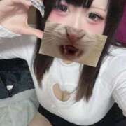 ヒメ日記 2026/02/13 23:12 投稿 さとみ ぽちゃドル学園