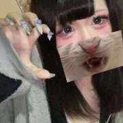 ヒメ日記 2026/04/14 19:12 投稿 さとみ ぽちゃドル学園