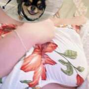 ヒメ日記 2025/07/07 19:43 投稿 夜姫～ヤキ～ ドMな奥さん 日本橋店