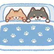 ヒメ日記 2025/08/10 10:23 投稿 ひとみ ぽっちゃりきぶん