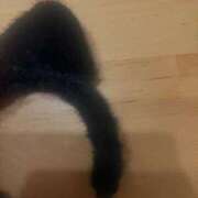 ヒメ日記 2025/10/25 22:51 投稿 ひとみ ぽっちゃりきぶん