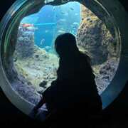 ヒメ日記 2025/11/03 10:03 投稿 ひとみ ぽっちゃりきぶん