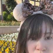 ヒメ日記 2025/11/16 12:44 投稿 ひとみ ぽっちゃりきぶん