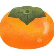 ヒメ日記 2025/11/17 21:02 投稿 ひとみ ぽっちゃりきぶん