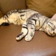 ヒメ日記 2026/01/25 13:44 投稿 ひとみ ぽっちゃりきぶん