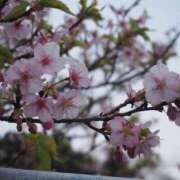 ヒメ日記 2026/03/31 12:52 投稿 ひとみ ぽっちゃりきぶん