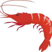 ヒメ日記 2026/04/28 19:34 投稿 ひとみ ぽっちゃりきぶん