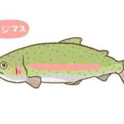ヒメ日記 2026/10/09 18:47 投稿 ひとみ ぽっちゃりきぶん