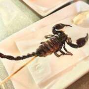 ヒメ日記 2025/07/21 18:37 投稿 弥生 変態美熟女お貸しします。